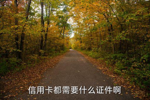 手機上信用卡申請需要啥,可以在信用卡手機上激活嗎...
